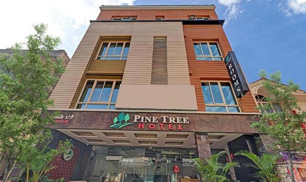 松树精品酒店-格里姆斯路 钦奈 外观 照片
