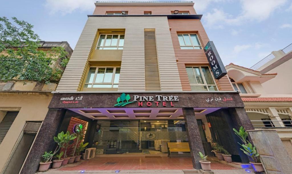松树精品酒店-格里姆斯路 钦奈 外观 照片